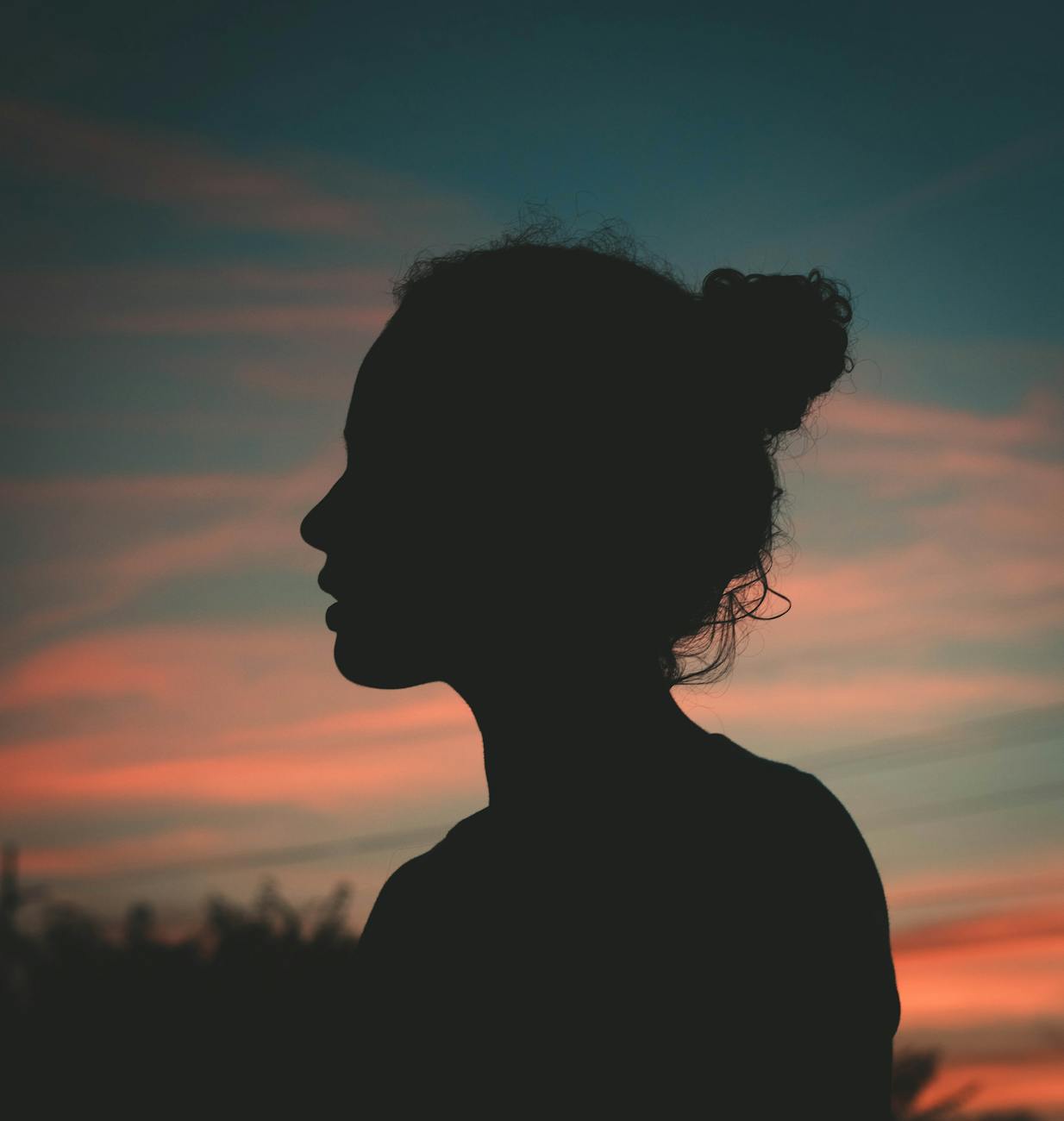 silhouette photo of person during golden hour